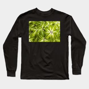 Pittosporum tenuifolium Arundel Green Long Sleeve T-Shirt